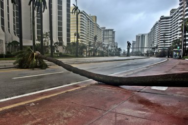 Damages in Miami by hurricane Irma