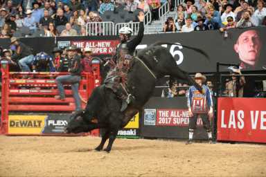 Disfruta un invierno festivo en los parques de Suffolk