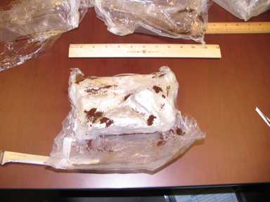 DETENIDAS 22 PERSONAS POR OPERAR RED NARCOTRÁFICO ENTRE PUERTO RICO Y N. YORK