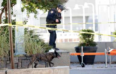 Hombre que manejaba camión por una ciclorruta causa múltiples muertes en Nueva York