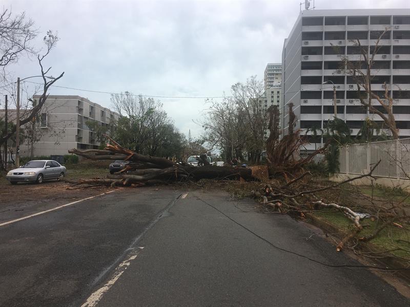 La Hispanic Federation instala placas solares a hospitales y fincas en Puerto Rico