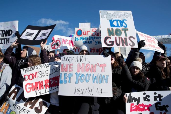 Demócratas de L.I. elegidos al Senado se unen contra la violencia con armas de fuego