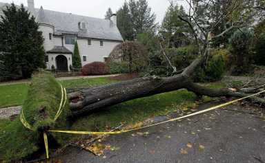 Dos muertos y miles sin energía eléctrica por tormenta en el área de Nueva York