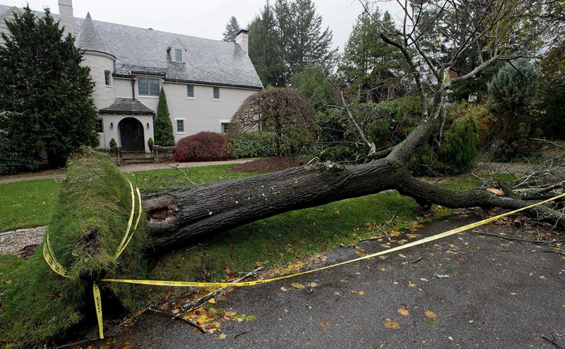 Dos muertos y miles sin energía eléctrica por tormenta en el área de Nueva York