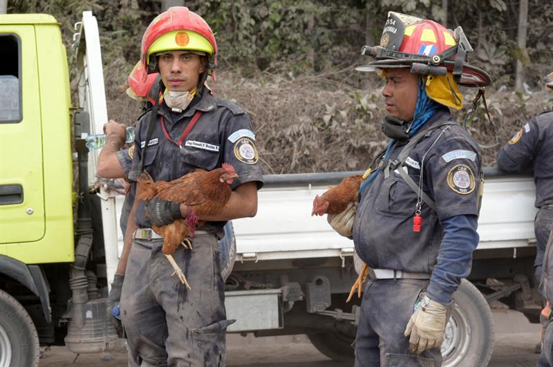 La ONU analiza necesidades humanitarias para Guatemala