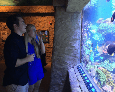 ¡Vívelo LI! Exposición en el Acuario, Fiesta Nativo Americana y Caminata Otoñal