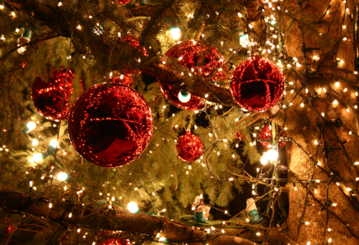 Hempstead organiza iluminación de árboles de Navidad y más eventos festivos