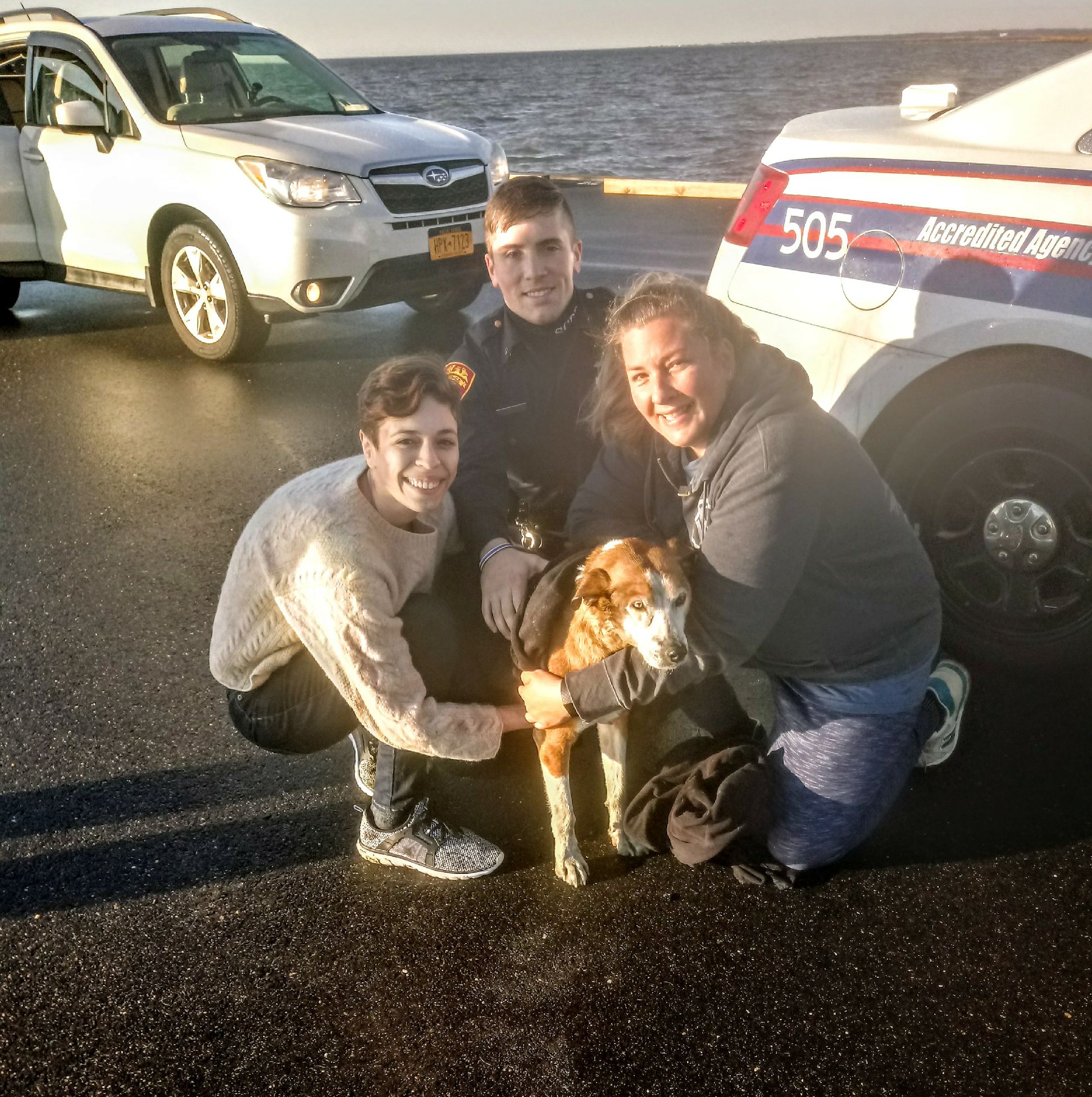 Oficiales de policía y buenos samaritanos rescatan a un perro de las aguas de la bahía