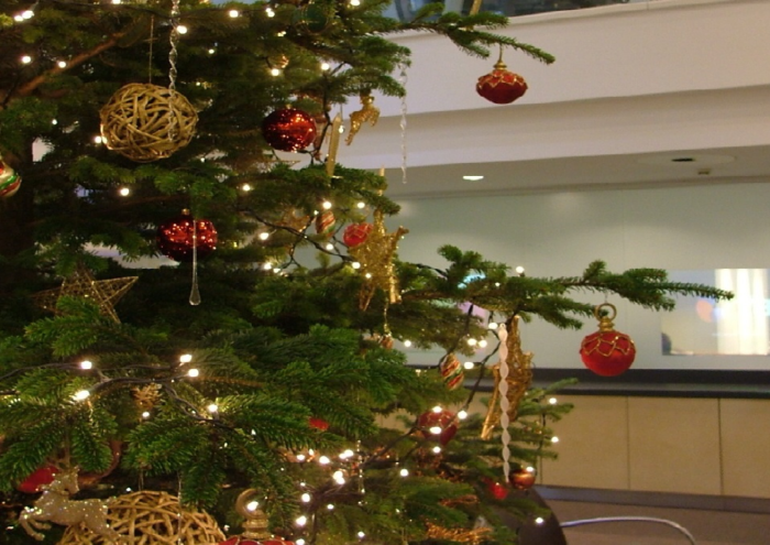 Pueblo de Hempstead recolecta árboles y coronas de Navidad