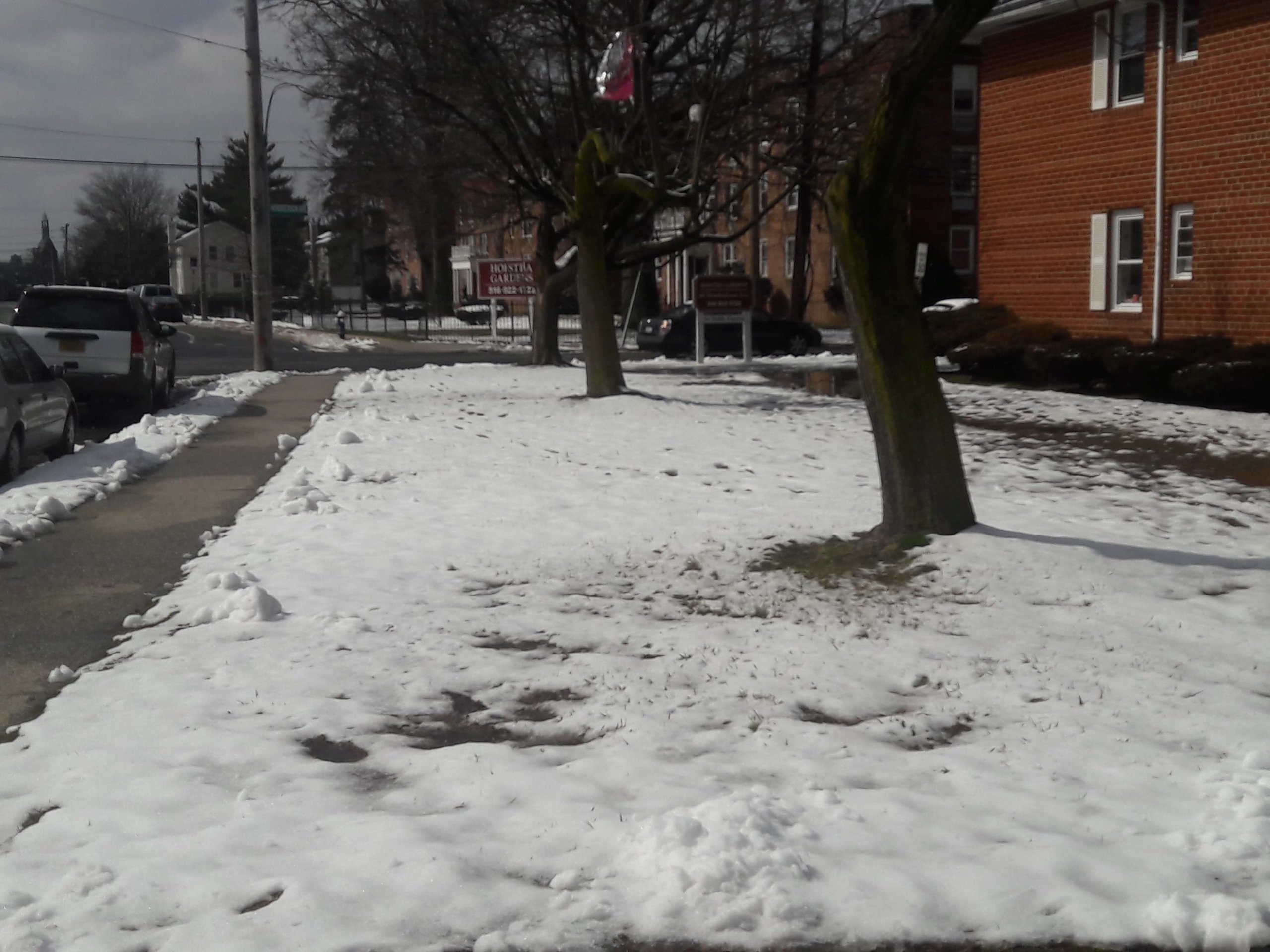 Long Island y Nueva York con pulgadas de nieve y escuelas cerradas