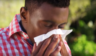 Protéjase de las alergias estacionales