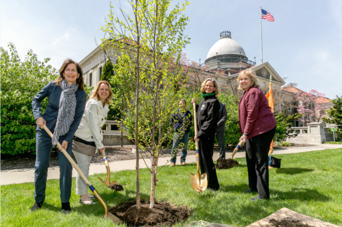 Ejecutiva Laura Curran organizó la celebración oficial del Día del Árbol