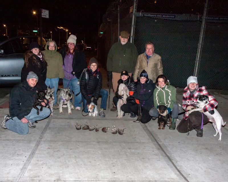 Cazadores de ratas en Nueva York hacen frente a miles de roedores