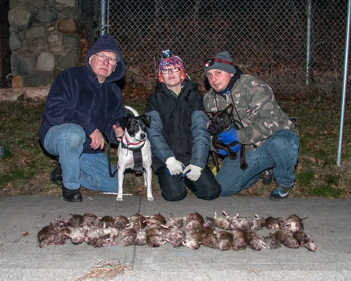 Cazadores de ratas en Nueva York