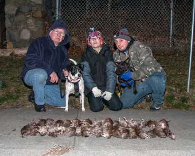 Cazadores de ratas en Nueva York