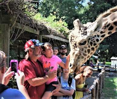 Eventos al aire libre para celebrar el Día del Padre