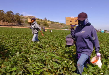 Promulgan proyecto de ley que protege a trabajadores inmigrantes de acoso laboral