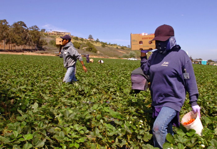 Promulgan proyecto de ley que protege a trabajadores inmigrantes de acoso laboral