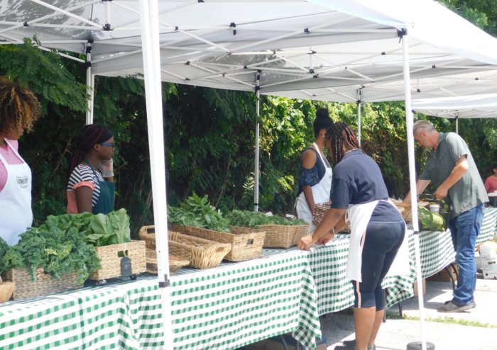 Jóvenes son protagonistas en Mercado de Agricultores de Freeport-Baldwin