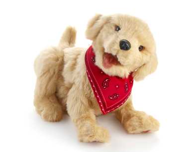 Puppy_12