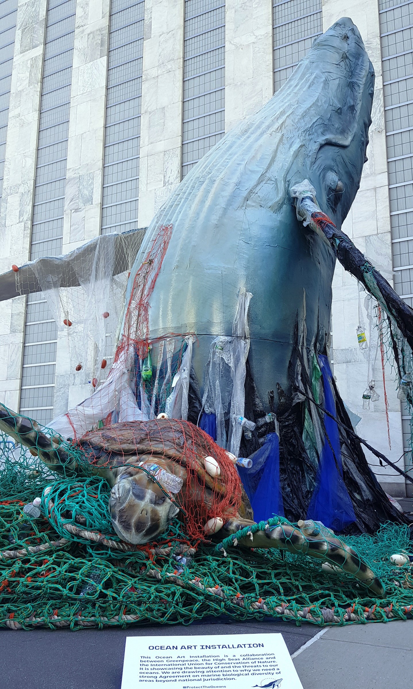 Una imponente ballena emerge en el patio de la ONU para defender los océanos