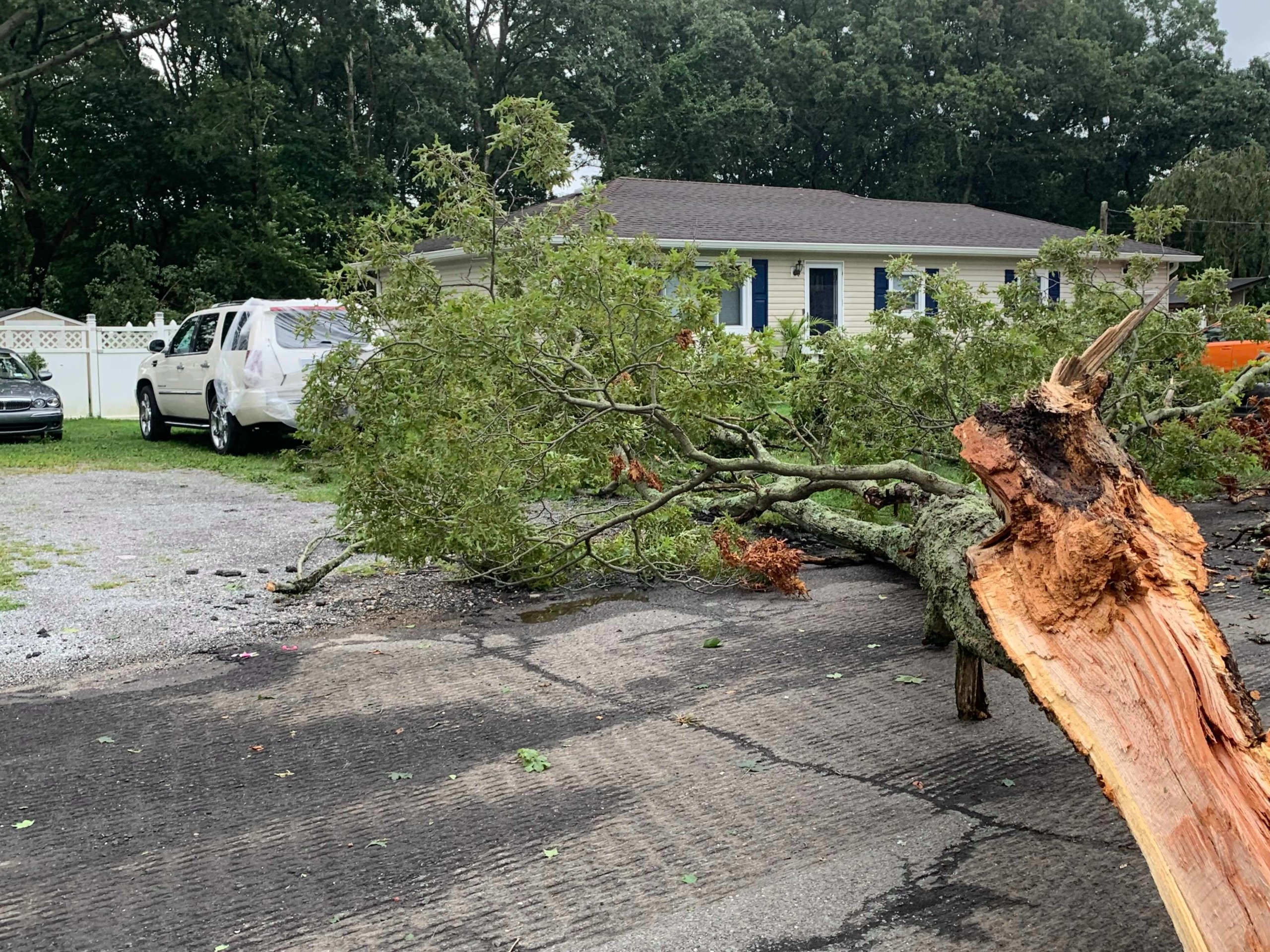 Poderosa tormenta azotó Long Island y deja inesperada destrucción (Foto: Noticia)
