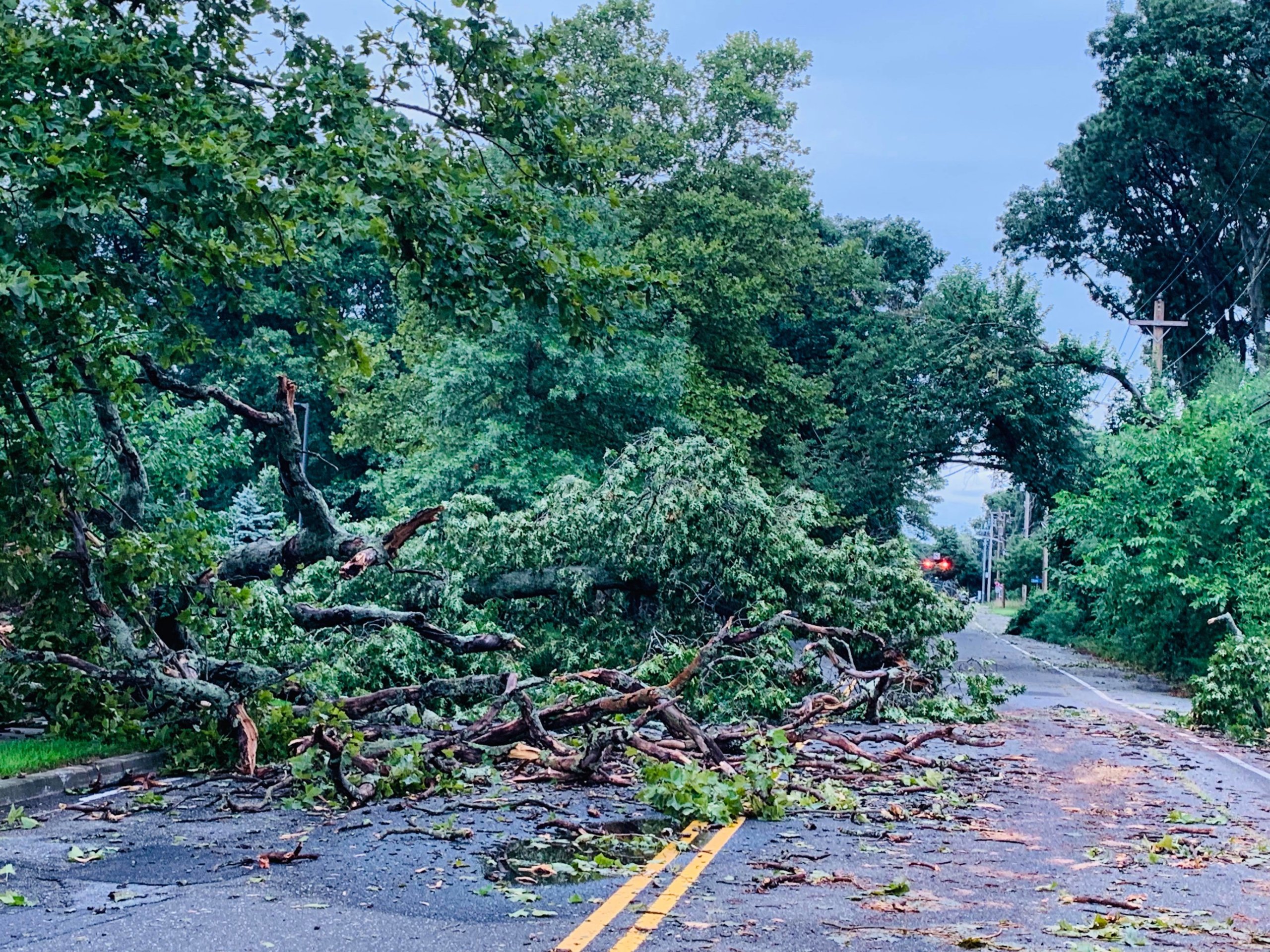 Poderosa tormenta azotó Long Island y deja inesperada destrucción