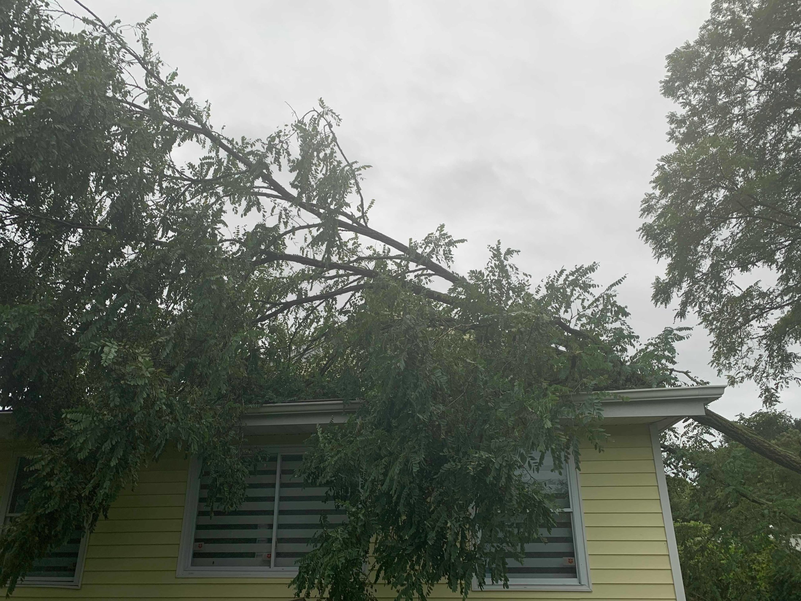 Poderosa tormenta azotó sectores de Long Island
