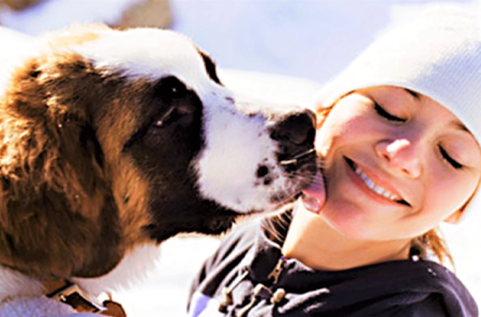 Lamidos de perros y gatos podrían causar cáncer en los humanos