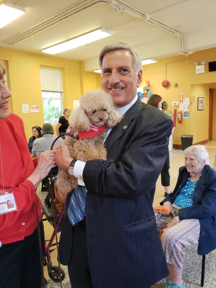 Terapia con mascotas para adultos mayores