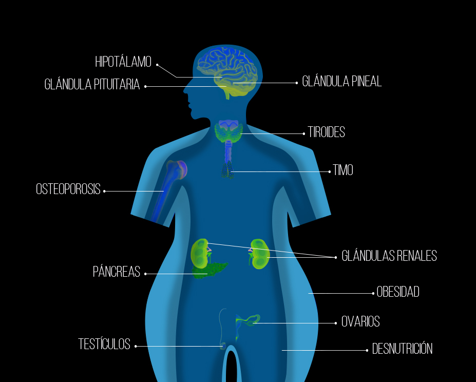 Endocrinología nueva especialidad en Delmont Medical Care
