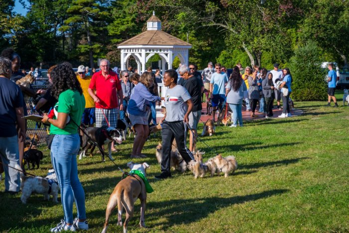 Cientos de mascotas reciben vacuna gratuita contra la rabia en el Pueblo de Islip