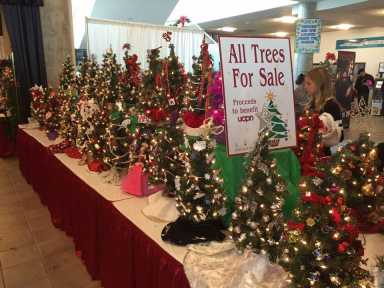 ¡Huele a Navidad! Festival de Árboles Decorados da inicio a la temporada festiva