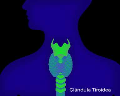 16 – NOTA 2 – PUBLIREPORTAJE