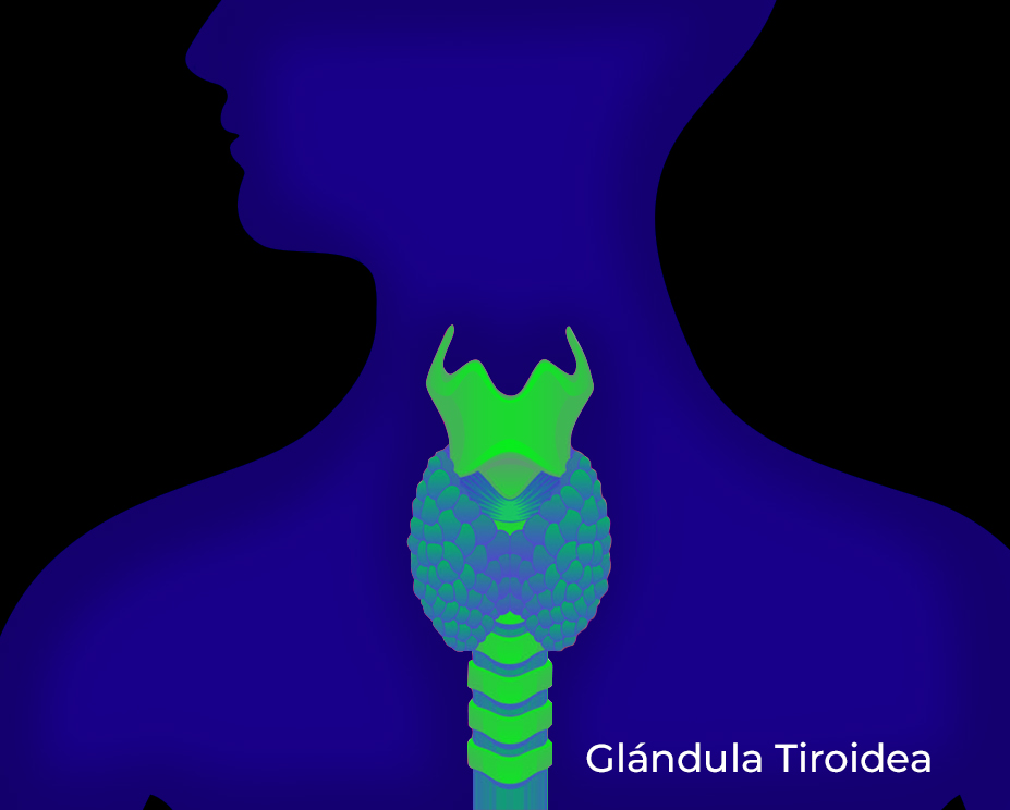 16 – NOTA 2 – PUBLIREPORTAJE