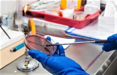 8 'tips' para cuidar la salud pulmonar