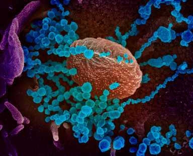 Coronavirus en Nueva York: Primer caso positivo confirmado en Manhattan