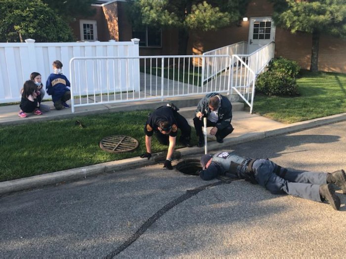 Policía de Suffolk rescató a patitos de un desagüe pluvial en West Babylon. (Foto: SCPD)