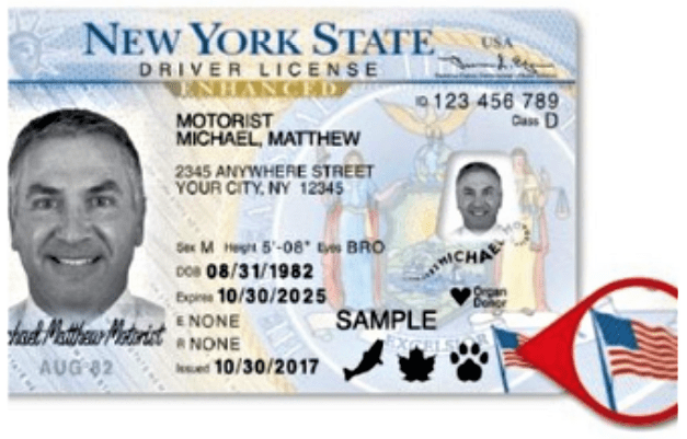 DMV de Nueva York reanuda servicio remoto de trámite de licencias