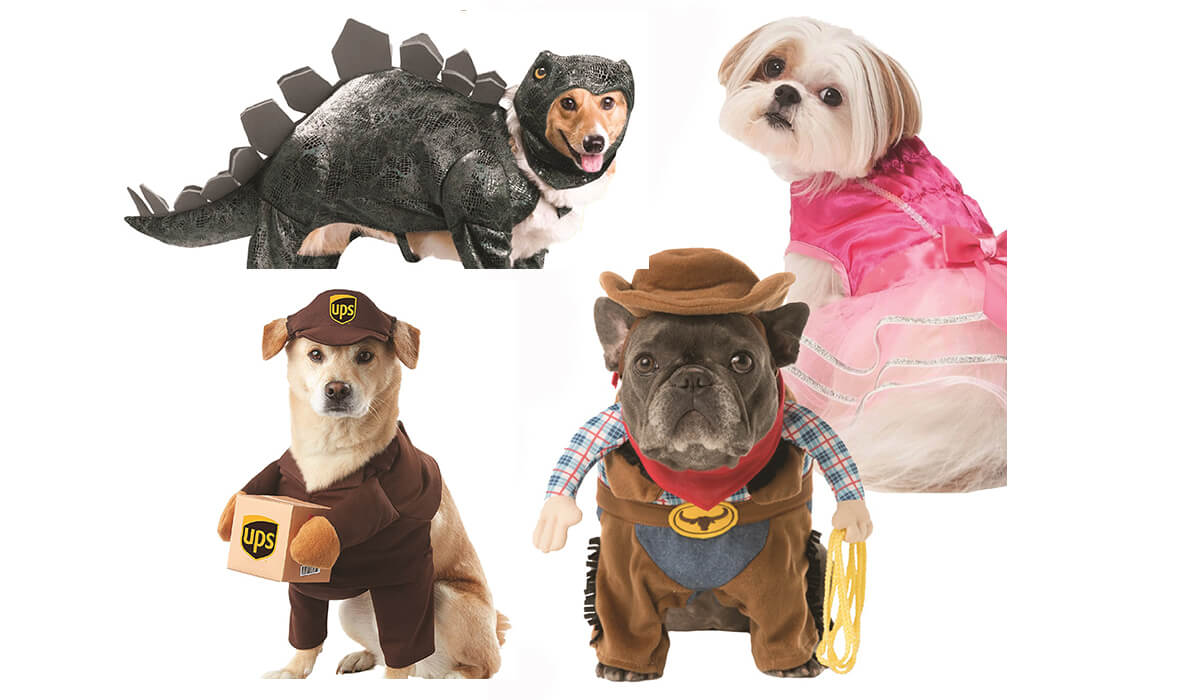 Concurso de disfraces de mascotas 'Nassau Barkfest' se define de forma virtual