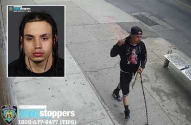 Hispano de Brooklyn usaba perro para engatusar a niñas en la calle y llevarlas a departamento