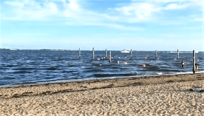 Cierran playas en Copiague, Lindenhurst, Sayville y Centerport por hallazgo de bacterias