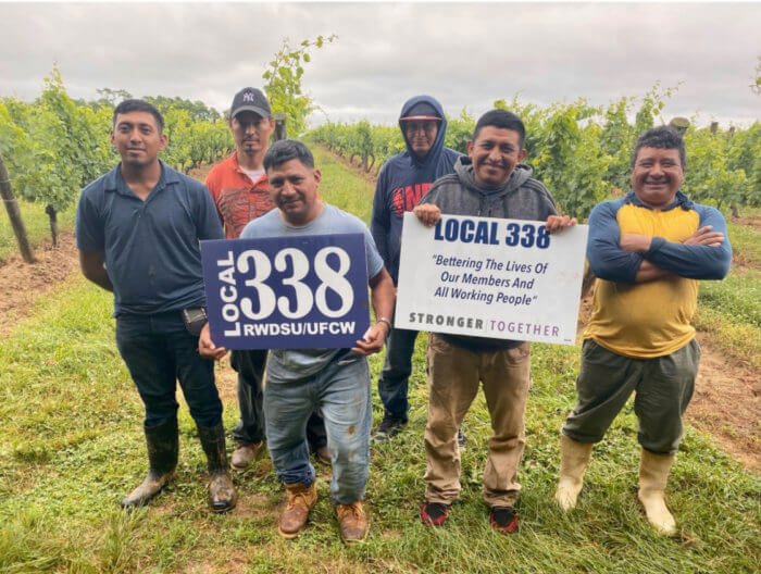 Trabajadores de viñedos en Peconic forman 1er. sindicato agrícola en Nueva York