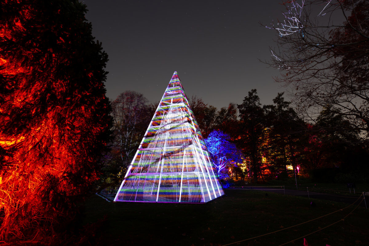 Sumérgete en el espíritu navideño con Lightscape en el Jardín Botánico de Brooklyn