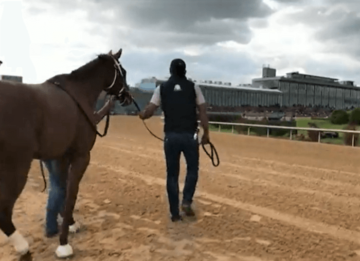 Tribunal ordena a dueños de caballos de carrera en L.I. pagar salarios robados a trabajadores