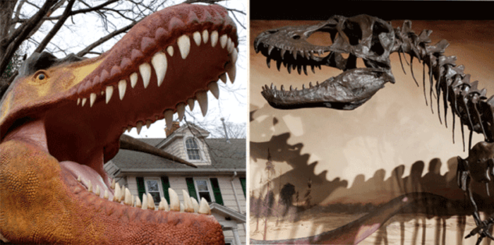 Vívelo LI : Exhibición de Dinosaurios Robóticos