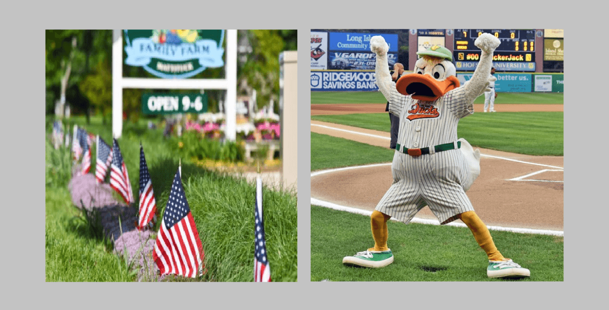 Vívelo LI : Recuerdo a los Caídos en Granja y con Long Island Ducks