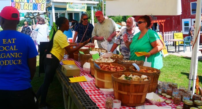 VíveloLI : Invitan al Festival del Ajo en Riverhead