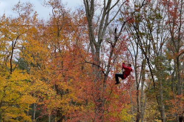 Vívelo LI : Goza un otoño emocionante en The Adventure Park