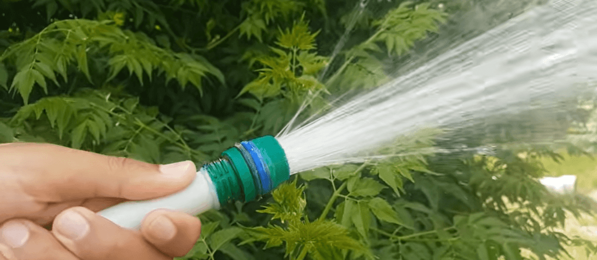 Instan a residentes de Long Island a limitar el riego de agua en sus jardines